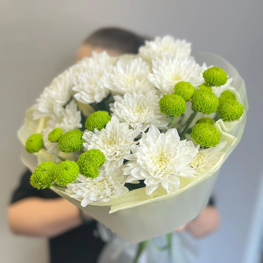 Эксклюзивный букет «Филин Грин» – сочетание белых и зеленых хризантем Астрахань Астраханская область