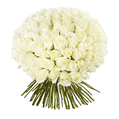 Роскошный букет из 101 белой розы – воплощение бесконечной любви Астрахань Астраханская область