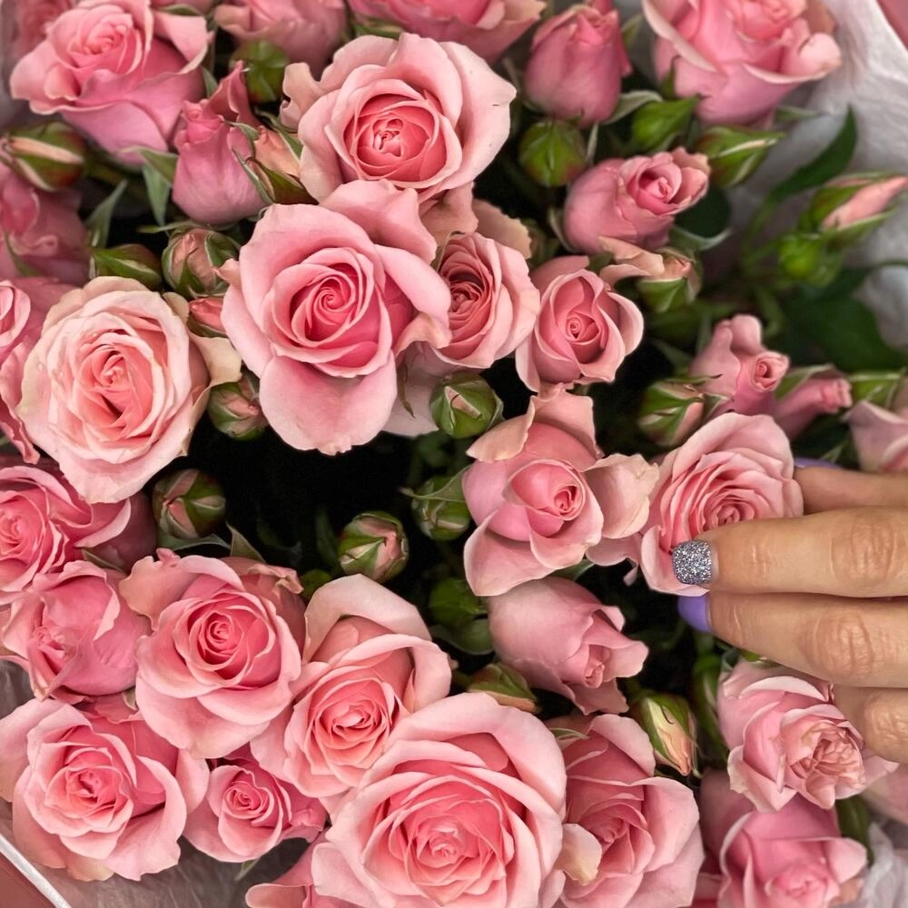 Букет из 9 розовых кустовых роз – нежность в каждом лепестке Астрахань Астраханская область