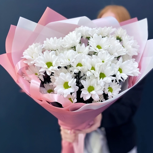 Букет «Розовое счастье» – нежность белых хризантем Астрахань Астраханская область