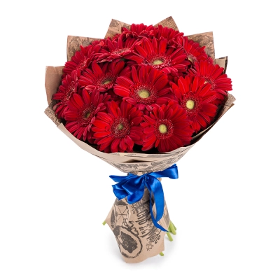 Яркий букет из 15 красных гербер – воплощение страсти и жизнерадостности Астрахань Астраханская область