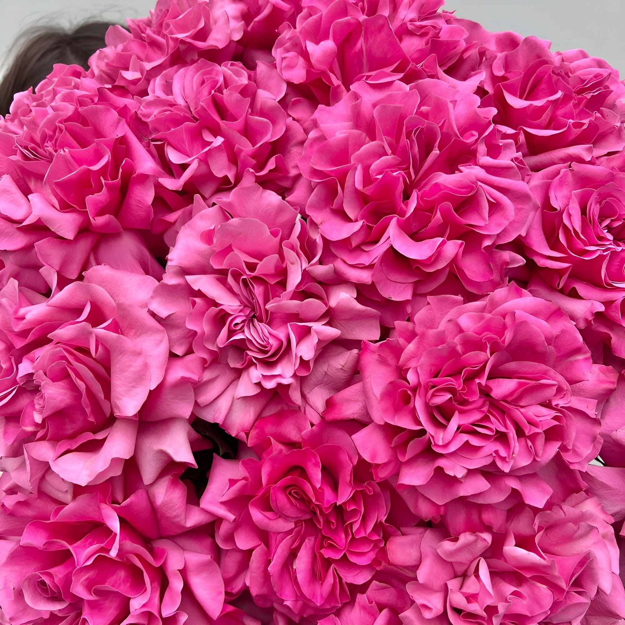 Роскошный букет из пионовидных роз – королевский подарок Астрахань Астраханская область