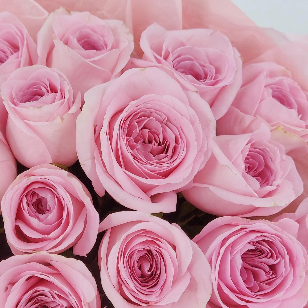 Букет из нежно-розовых роз – элегантность в каждом лепестке Астрахань Астраханская область