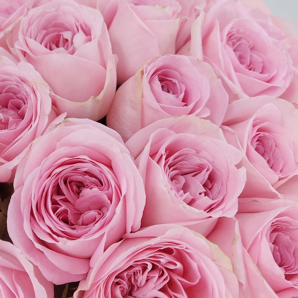 Букет из нежно-розовых роз – элегантность в каждом лепестке Астрахань Астраханская область