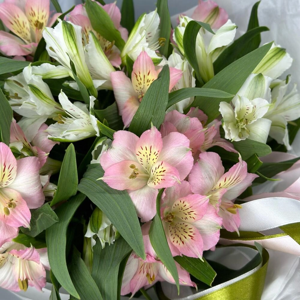 Букет «Нежность» – трогательное сочетание белых и розовых альстромерий Астрахань Астраханская область