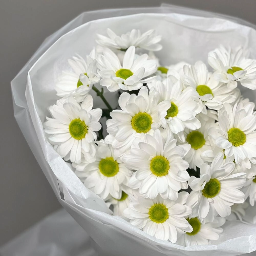 Букет «Ромашковый» – нежные белые хризантемы в деревенском стиле Астрахань Астраханская область