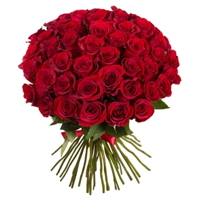 Букет «О, Шарман!» – 51 роскошная эквадорская роза Астрахань Астраханская область