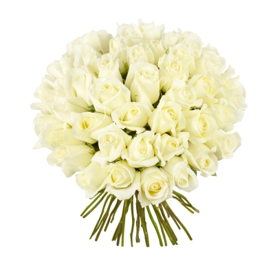 Роскошный букет из 51 белой розы – символ безграничной преданности Астрахань Астраханская область
