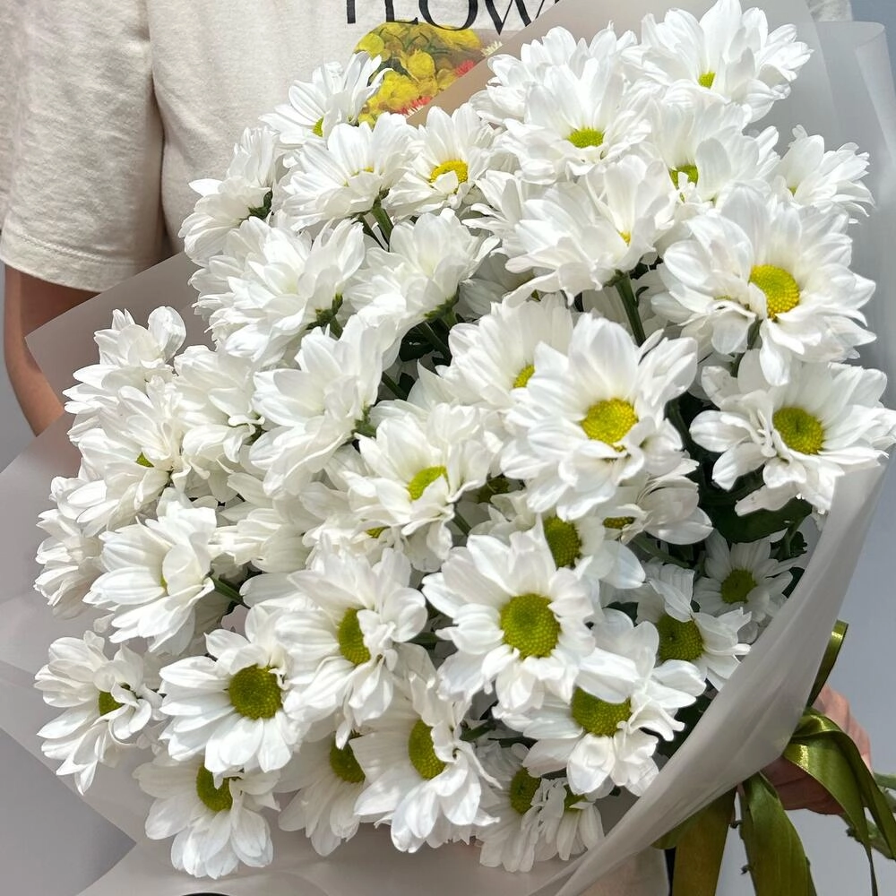 Букет «Летнее настроение» – свежесть белых хризантем Астрахань Астраханская область