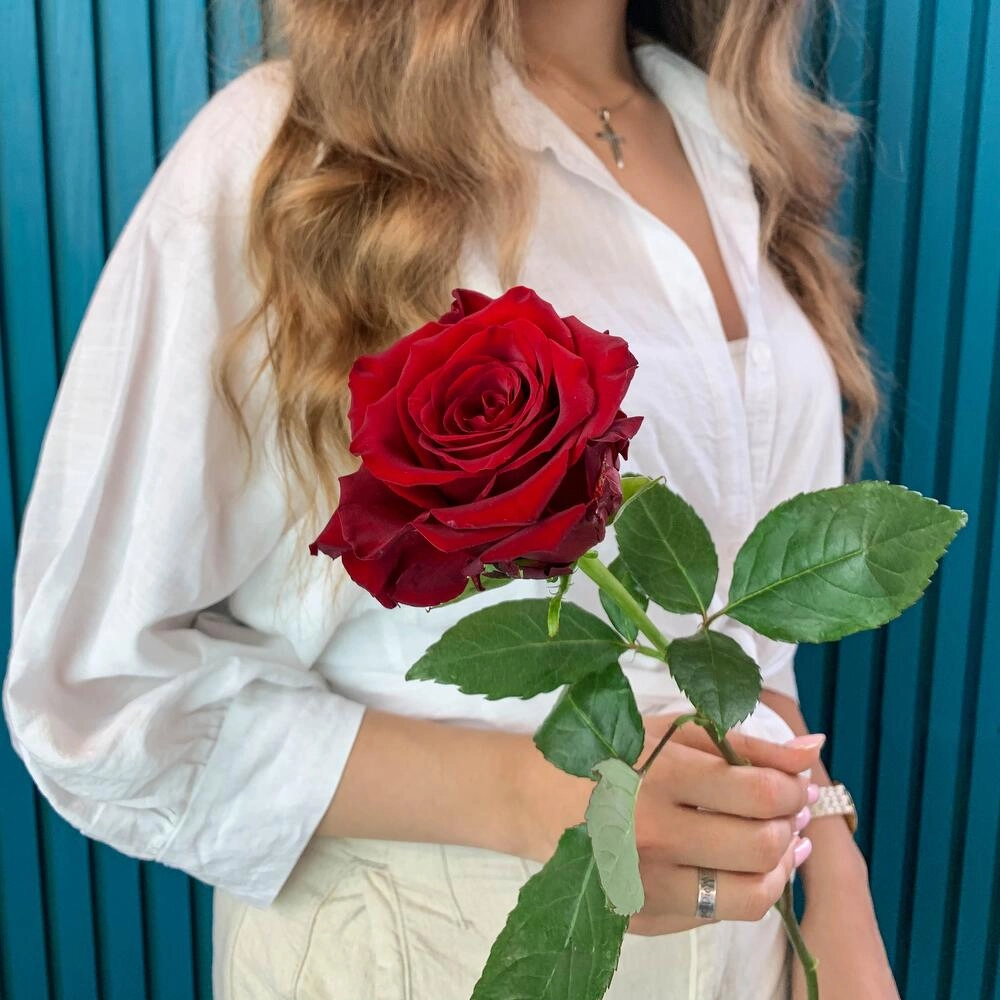 Комплимент из красной эквадорской розы – минимализм роскоши Астрахань Астраханская область