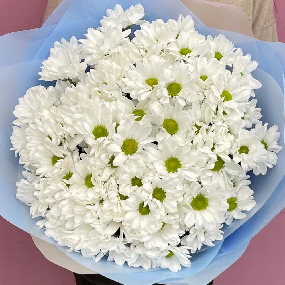 Букет «Ромашковое поле» – свежесть белых хризантем Астрахань Астраханская область