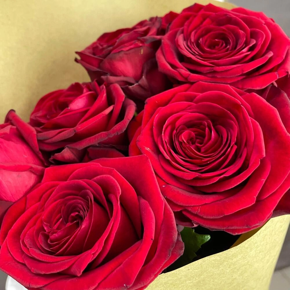Букет из 7 красных роз в крафте – страсть в стильной упаковке Астрахань Астраханская область