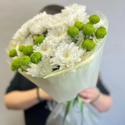 Эксклюзивный букет «Филин Грин» – сочетание белых и зеленых хризантем Астрахань Астраханская область
