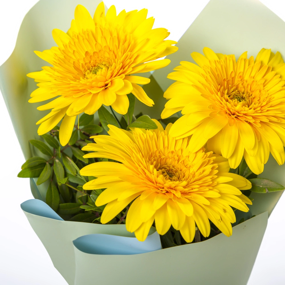 Яркий букет из 3 жёлтых гербер – частичка солнечного света Астрахань Астраханская область