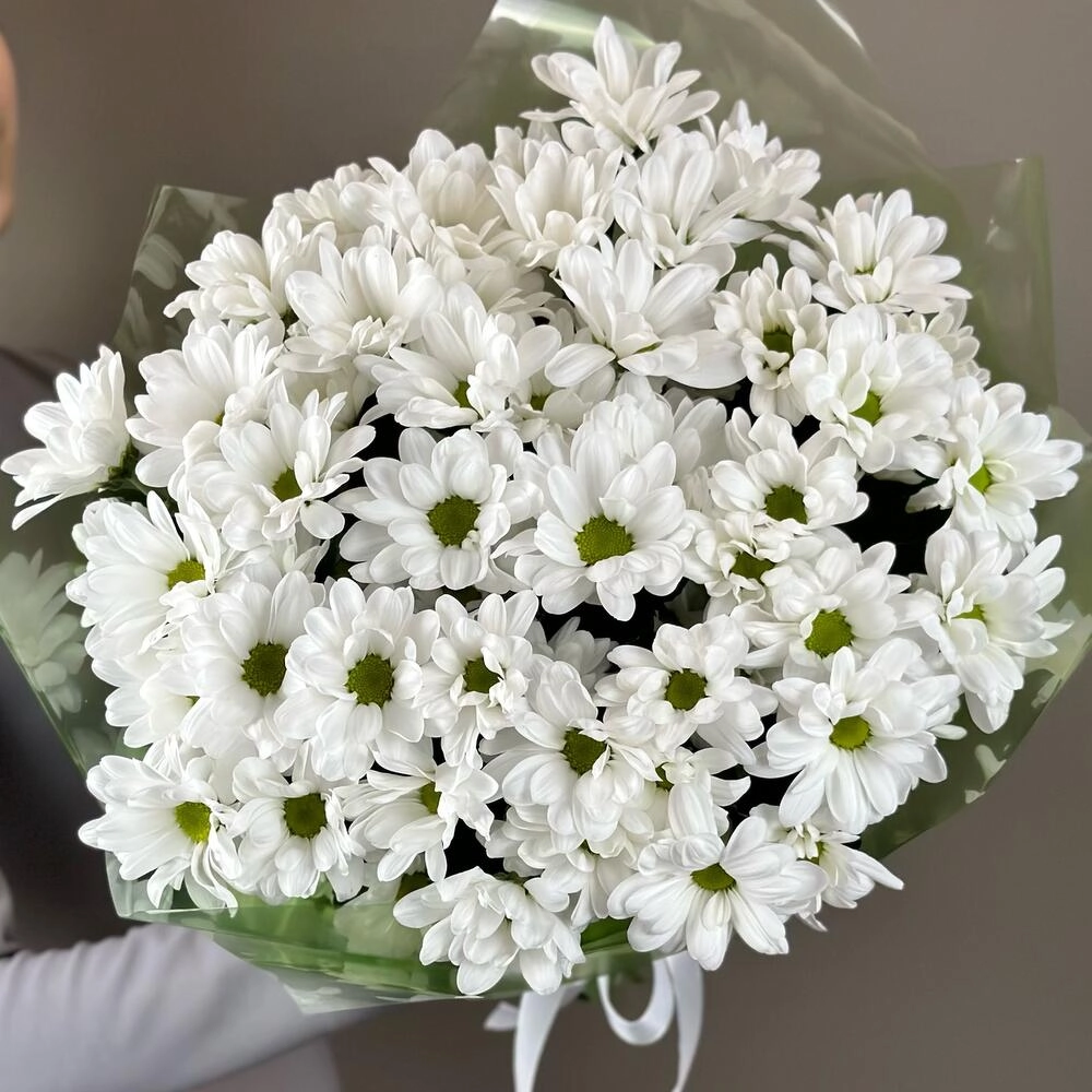 Букет «Мечты о лете» – свежесть белых хризантем Астрахань Астраханская область