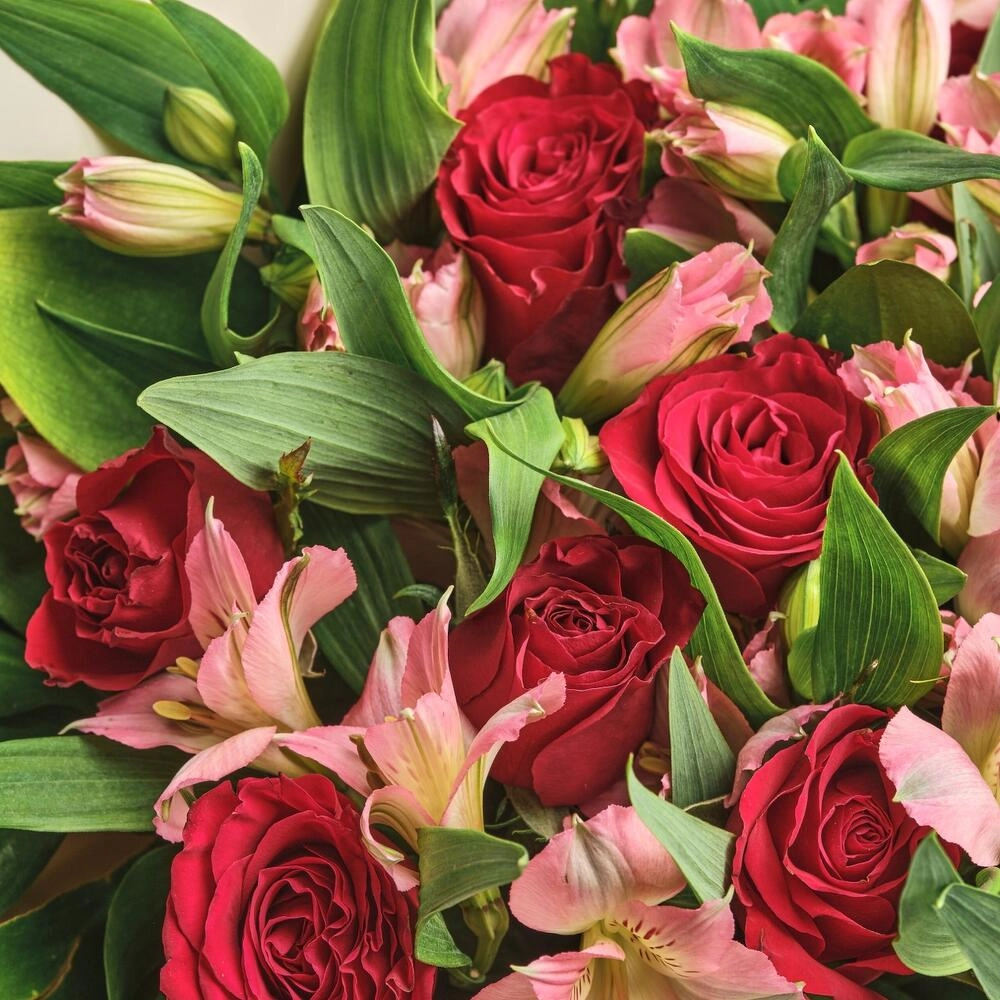 Букет «Нежность слов» — гармония красных роз и нежных альстромерий Астрахань Астраханская область