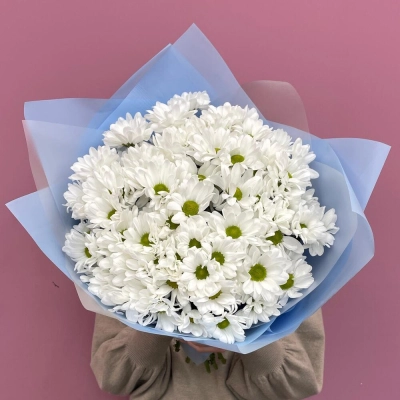 Букет «Ромашковое поле» – свежесть белых хризантем Астрахань Астраханская область