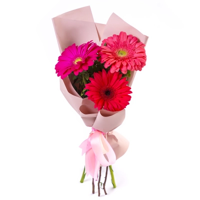 Яркий букет из 3 разноцветных гербер – маленькое чудо в ваших руках Астрахань Астраханская область