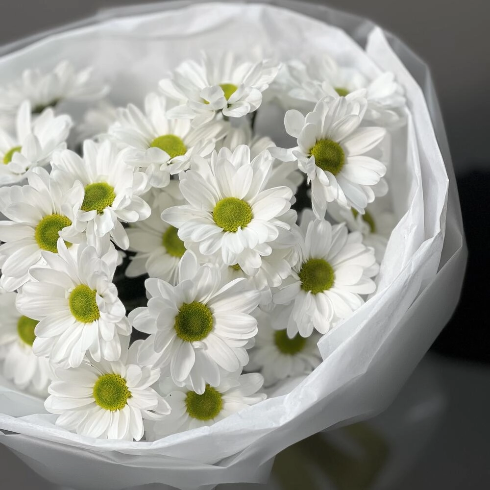 Букет «Ромашковый» – нежные белые хризантемы в деревенском стиле Астрахань Астраханская область