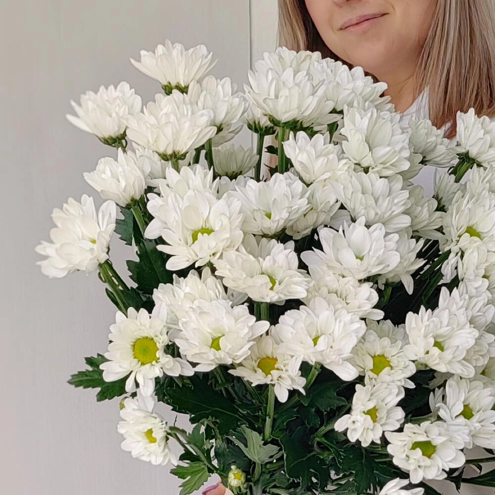 Букет «Ромашка» — свежесть белых хризантем в деревенском стиле Астрахань Астраханская область