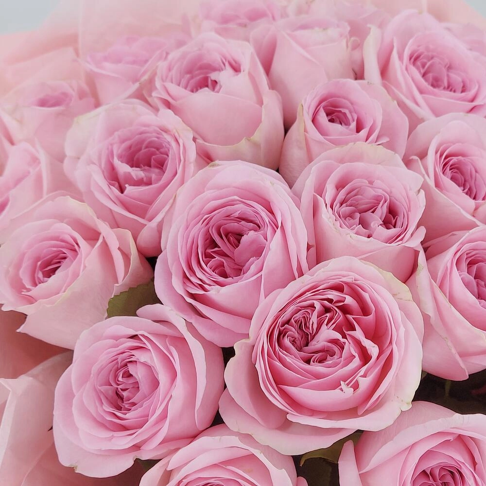 Букет из нежно-розовых роз – элегантность в каждом лепестке Астрахань Астраханская область