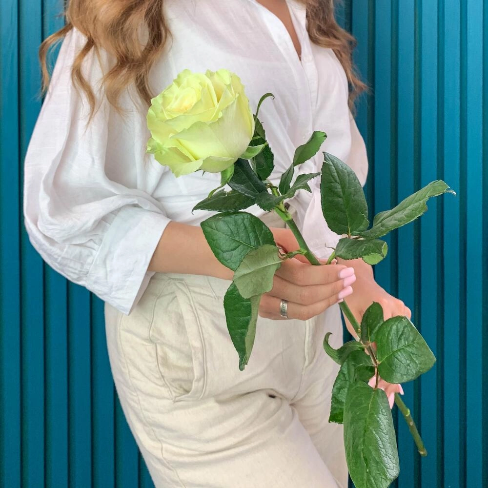 Комплимент из белой эквадорской розы – элегантность в каждом лепестке Астрахань Астраханская область