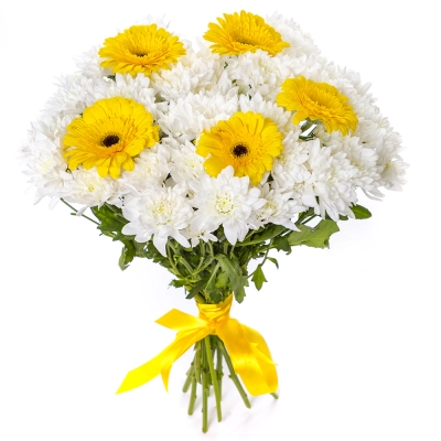 Солнечный букет из желтых гербер и белых хризантем – радость в каждом лепестке Астрахань Астраханская область