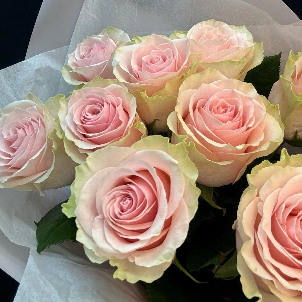 Букет из 9 розовых роз – нежность в каждом лепестке Астрахань Астраханская область