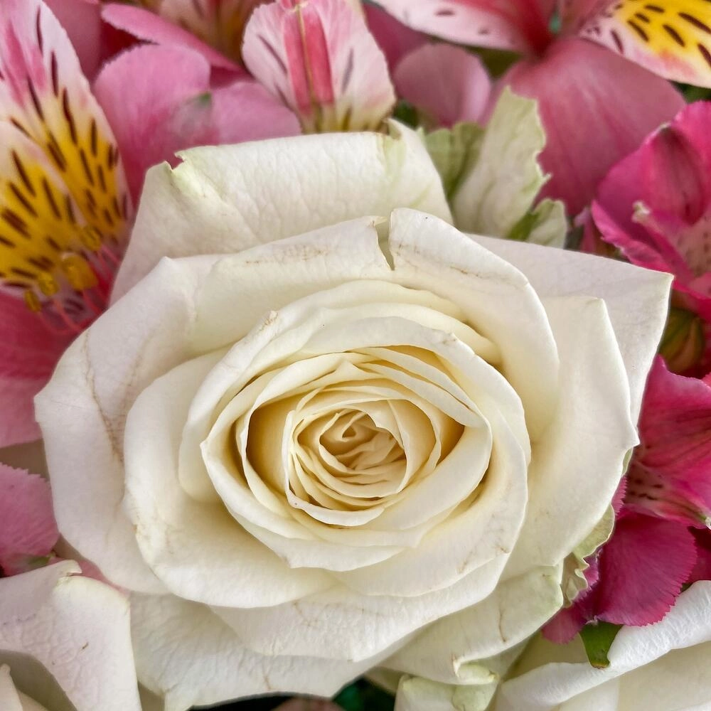 Букет «Николь» – изысканное сочетание роз, кустовых роз и альстромерий Астрахань Астраханская область