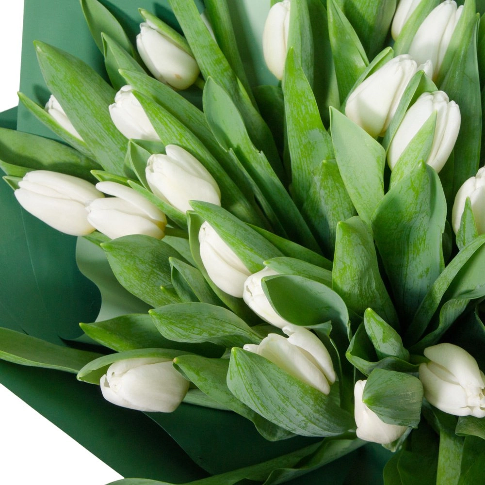 Букет «Белоснежное очарование» – из 31 элегантного белого тюльпана