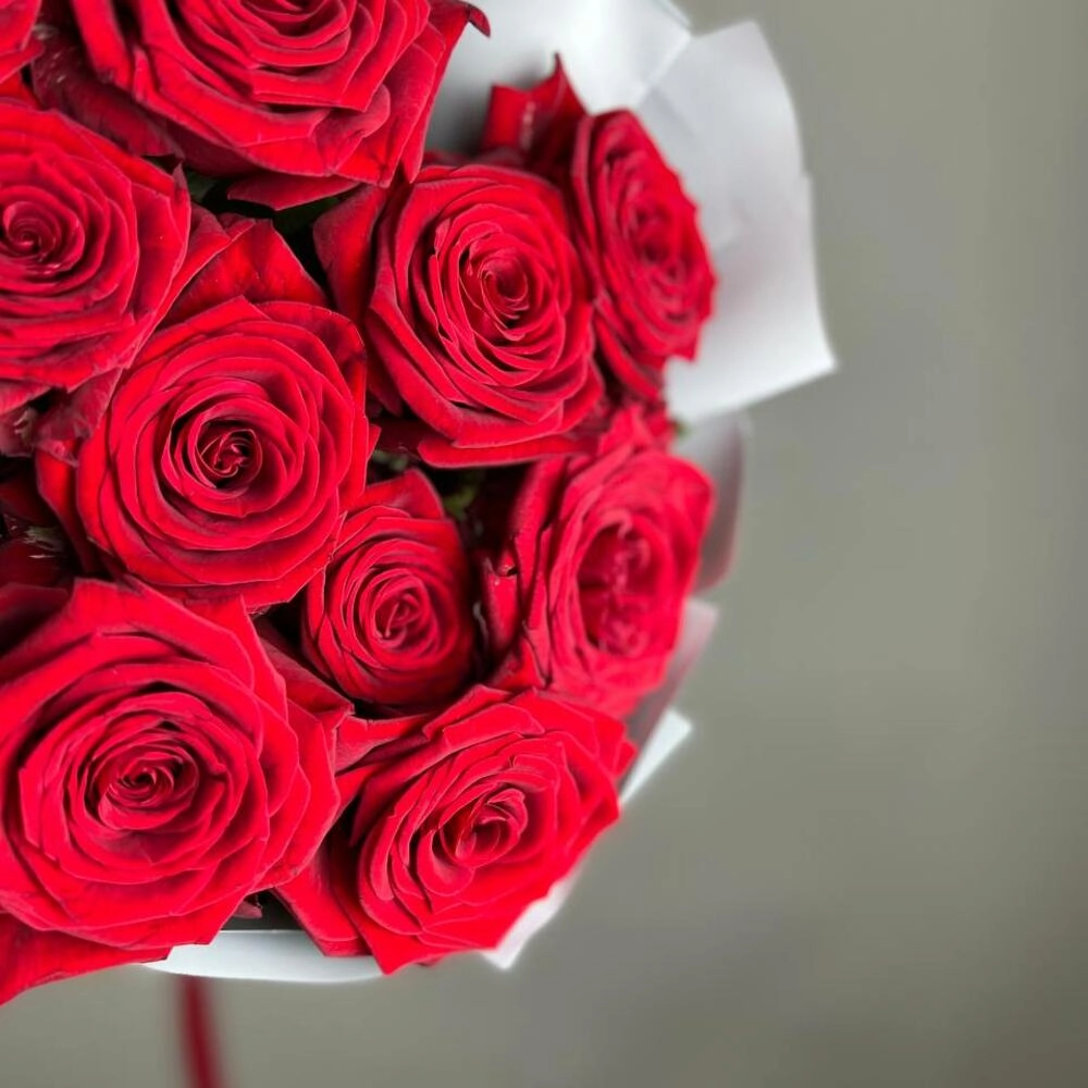 «Королевский бархат» – 25 роскошных красных роз из Эквадора  Астрахань Астраханская область