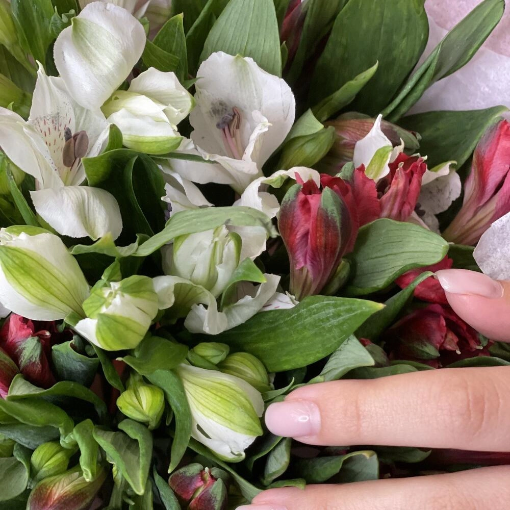 Букет «Люблю»– страсть и чистота в красно-белых альстромериях Астрахань Астраханская область