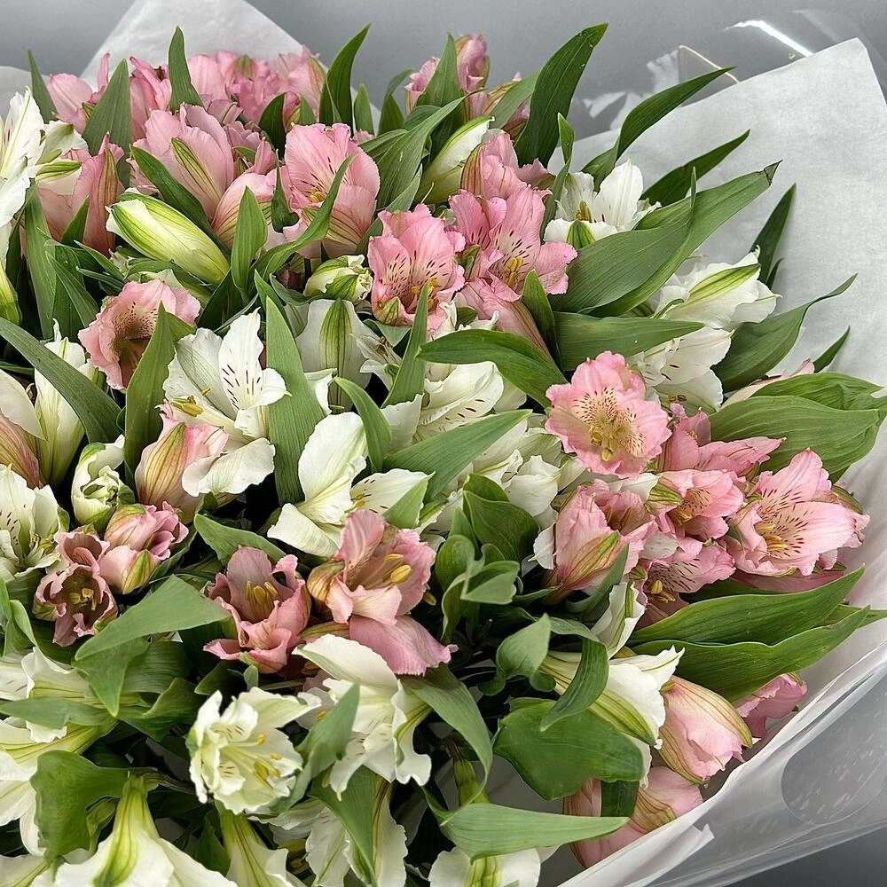 Букет «Гармония» – нежное сочетание белых и розовых альстромерий Астрахань Астраханская область