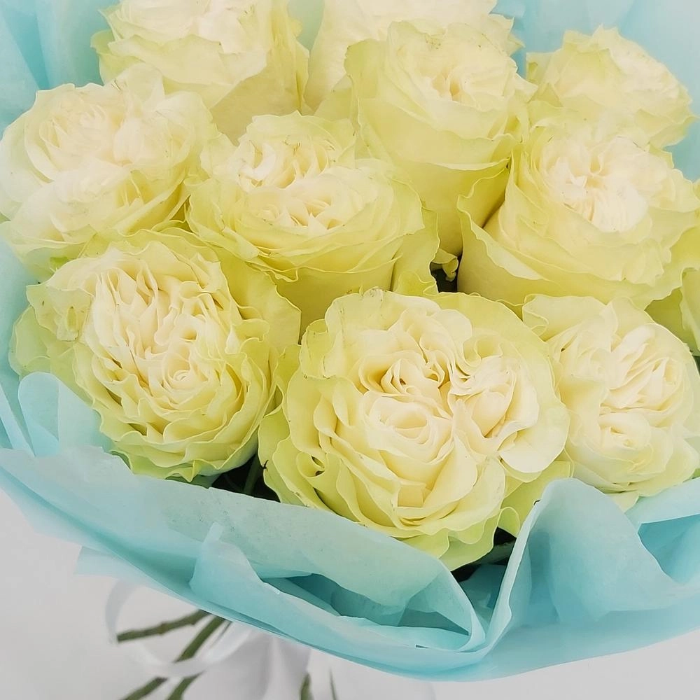 Букет «Кружевное облачко» – 11 белоснежных роз в нежной упаковке Астрахань Астраханская область