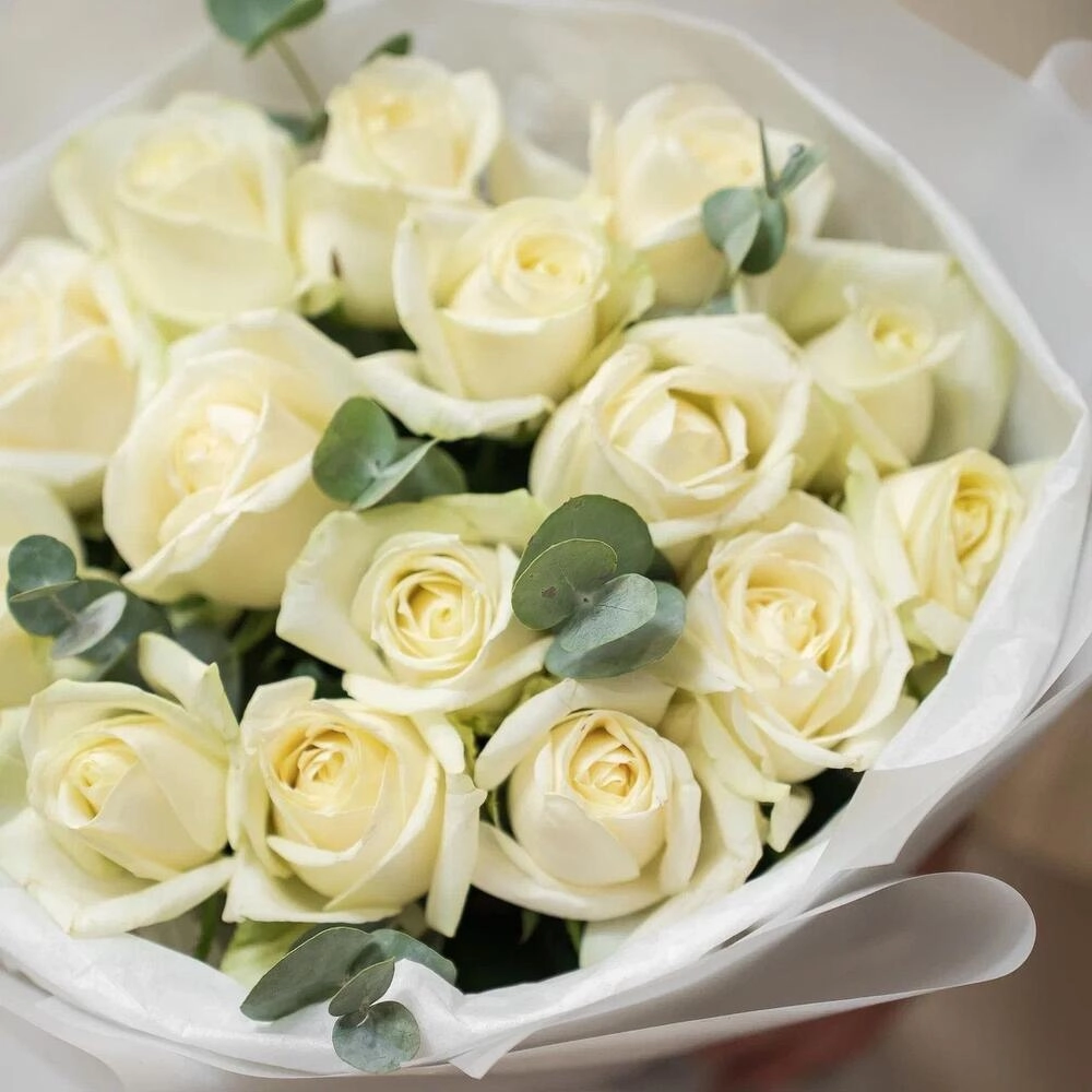 Букет из 15 белых роз с эвкалиптом – чистота и изысканность Астрахань Астраханская область