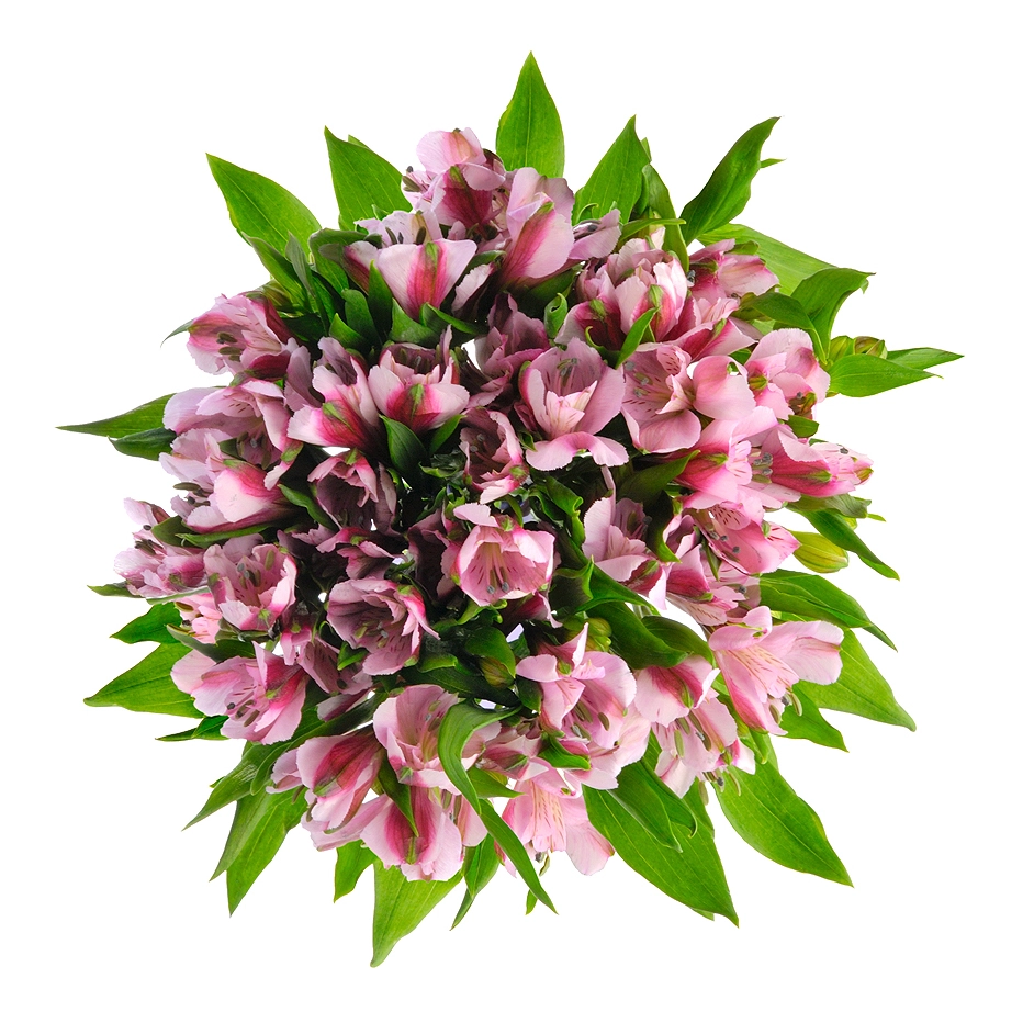 Букет «Хорошее настроение» из розовых альстромерий – солнечный подарок Астрахань Астраханская область