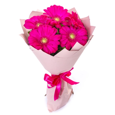 Букет из 5 малиновых гербер – сочный акцент вашего подарка Астрахань Астраханская область