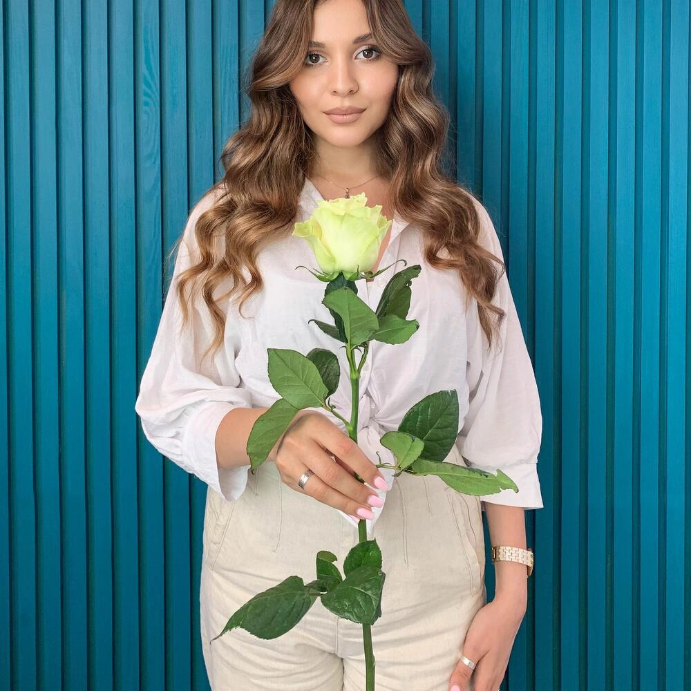 Комплимент из белой эквадорской розы – элегантность в каждом лепестке Астрахань Астраханская область