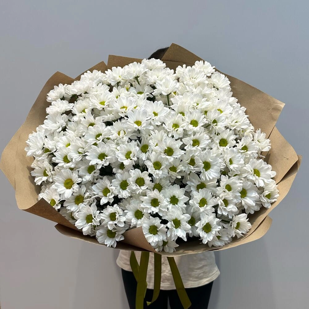 Букет «21 ромашка» – нежные белые кустовые хризантемы в натуральном стиле Астрахань Астраханская область