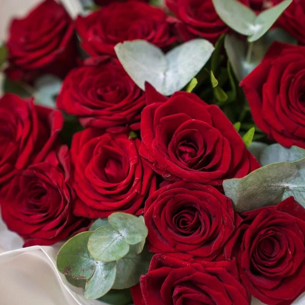 Элегантный букет из 15 красных роз с эвкалиптом – символ страсти и нежности Астрахань Астраханская область