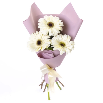 Нежный букет из 3 белых гербер – символ искренности и света Астрахань Астраханская область