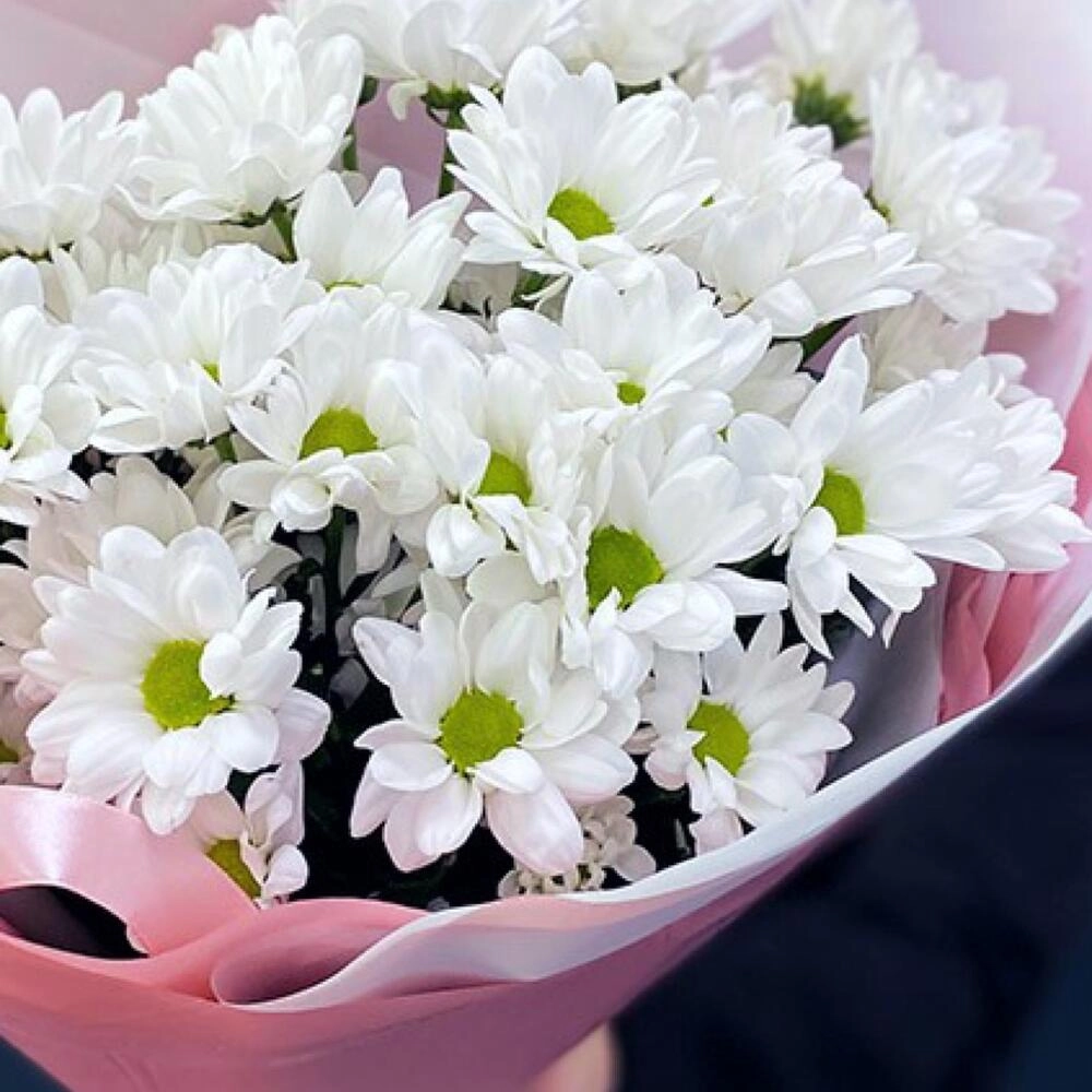 Букет «Розовое счастье» – нежность белых хризантем Астрахань Астраханская область