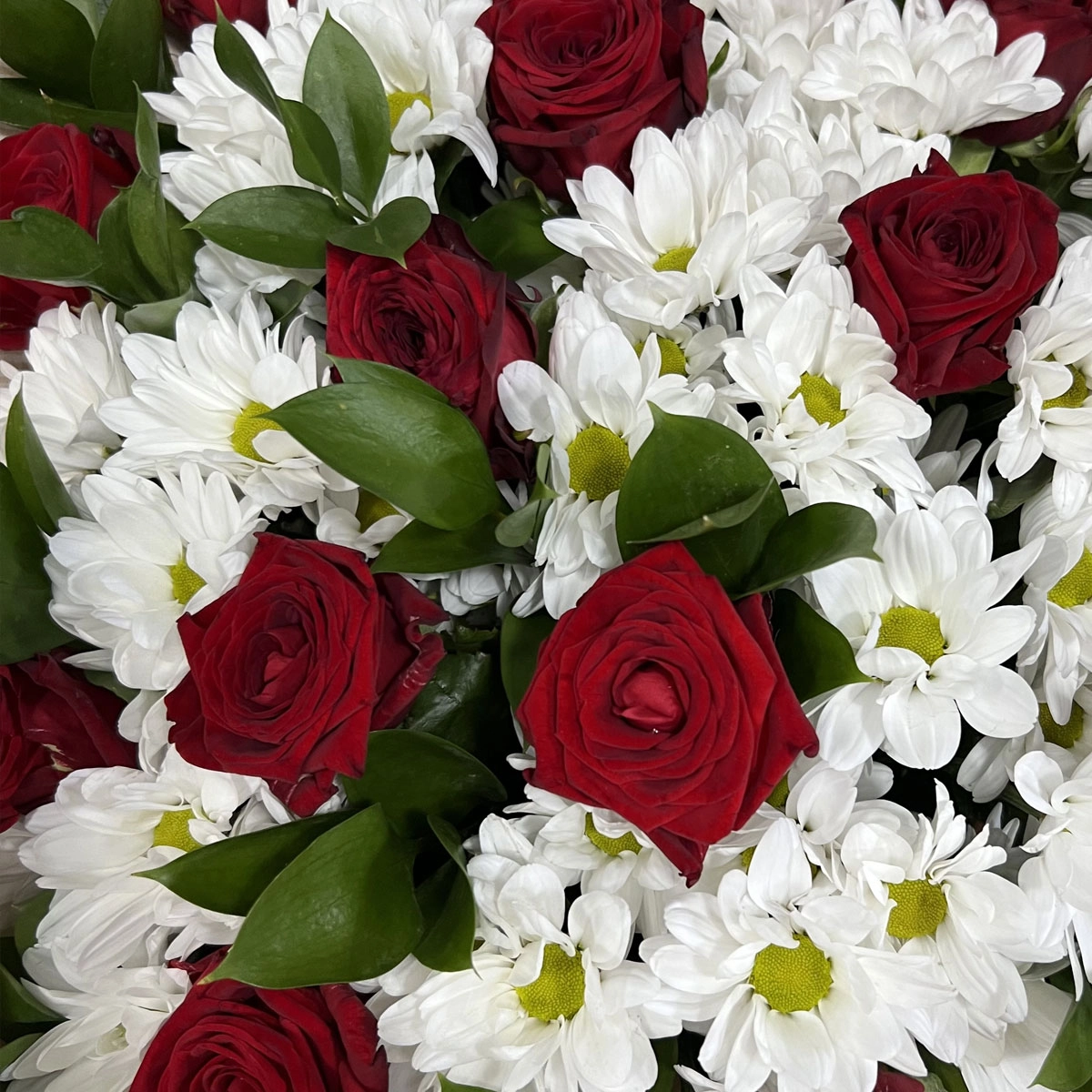 Букет «Романтика» — гармония красных роз и белоснежных хризантем Астрахань Астраханская область