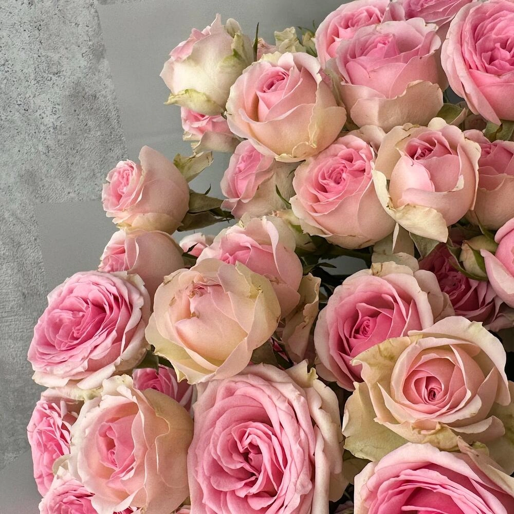 Букет «Нежный аромат» – пышные розовые кустовые розы в элегантной упаковке Астрахань Астраханская область
